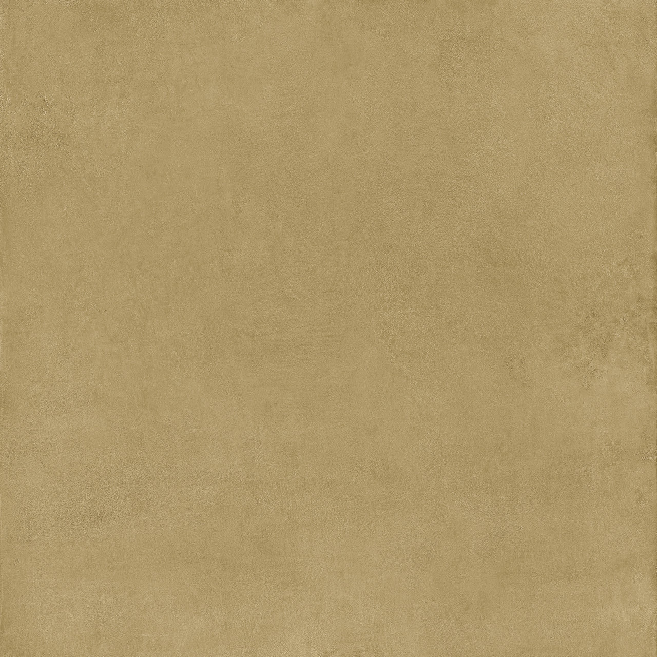 Image sans description