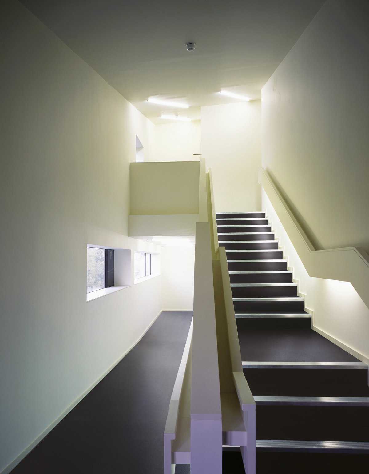 Image sans description