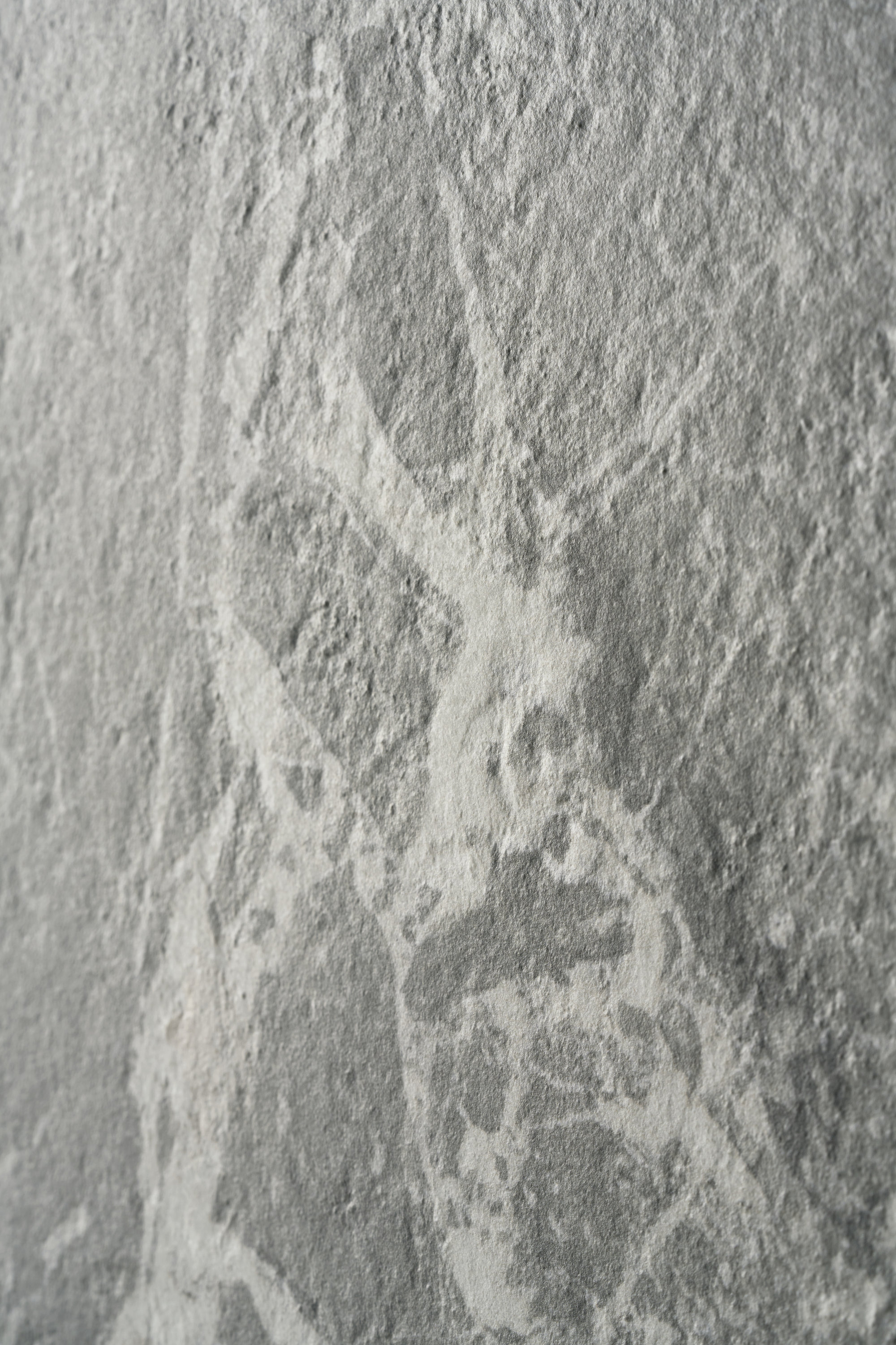 Image sans description