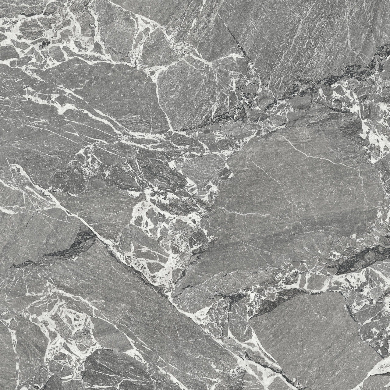 Image sans description