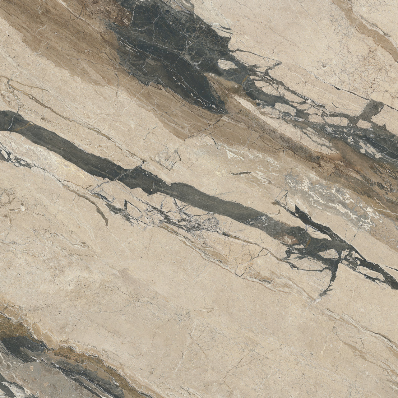 Image sans description