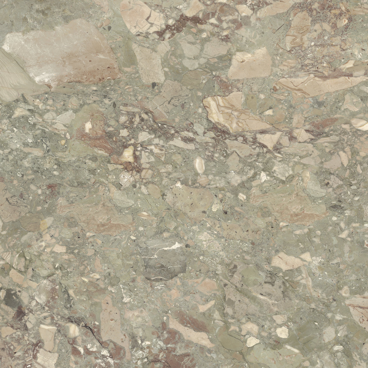 Image sans description