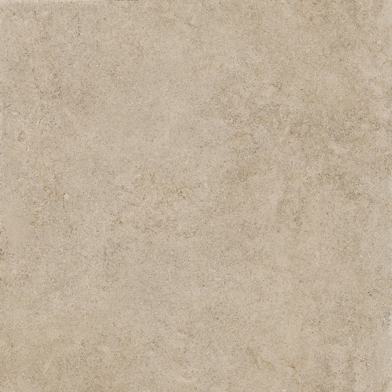 Image sans description