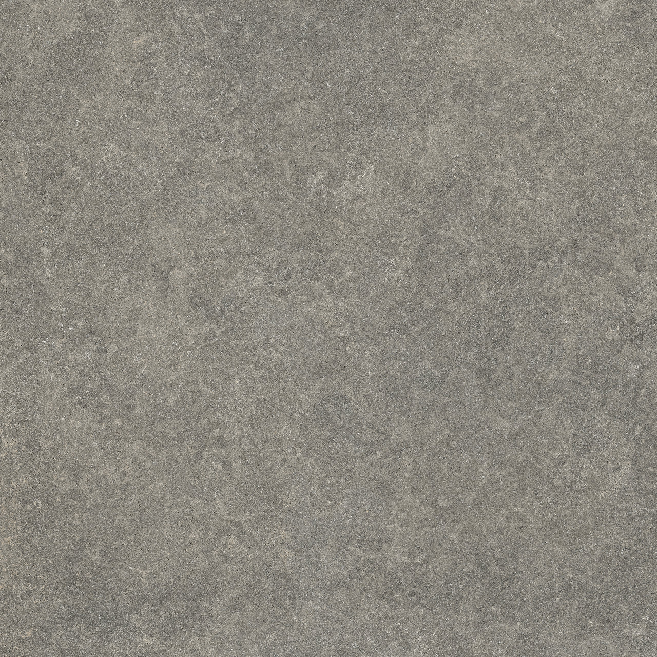 Image sans description