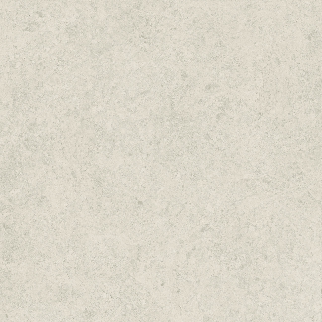 Image sans description