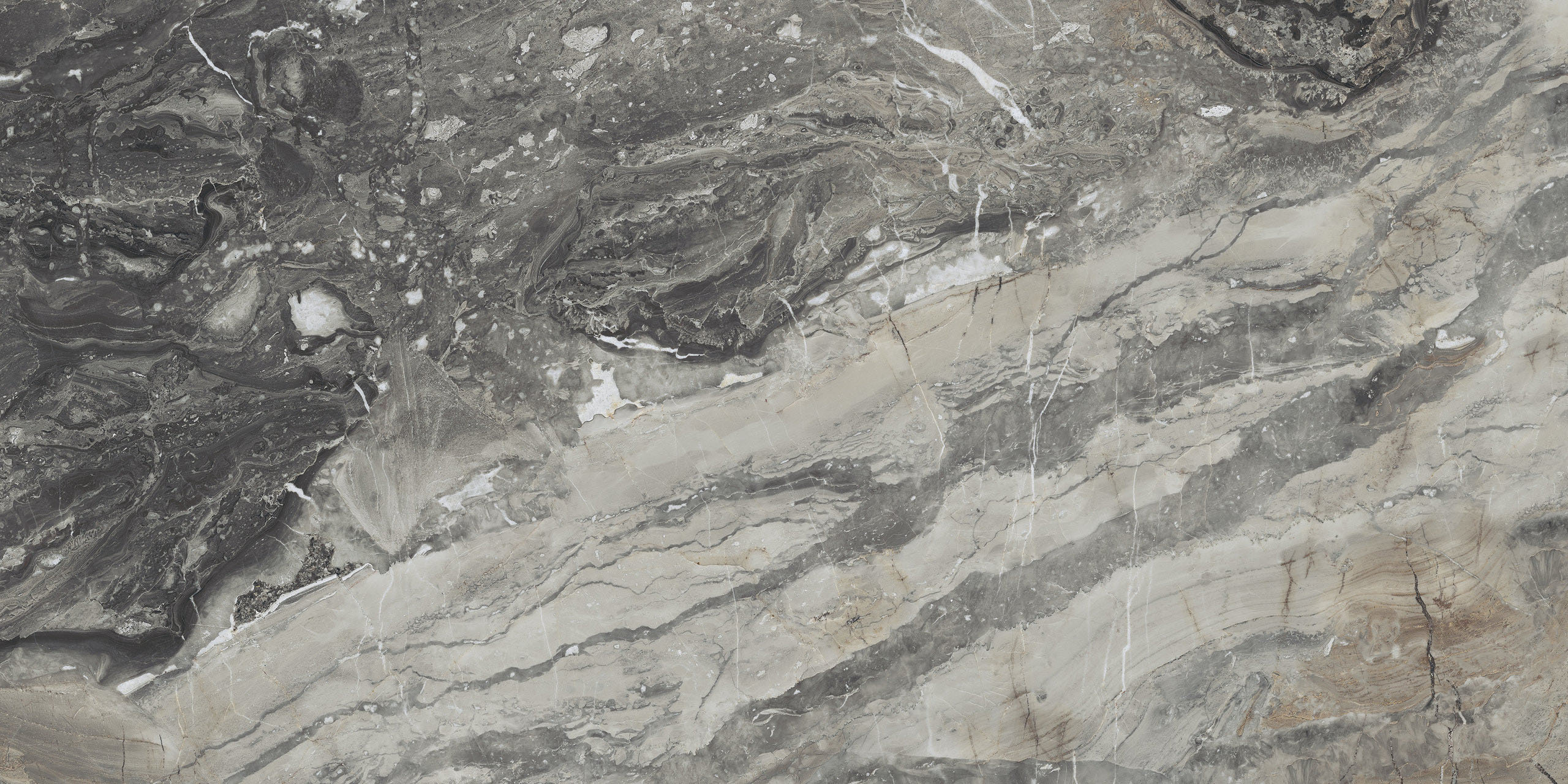 Image sans description