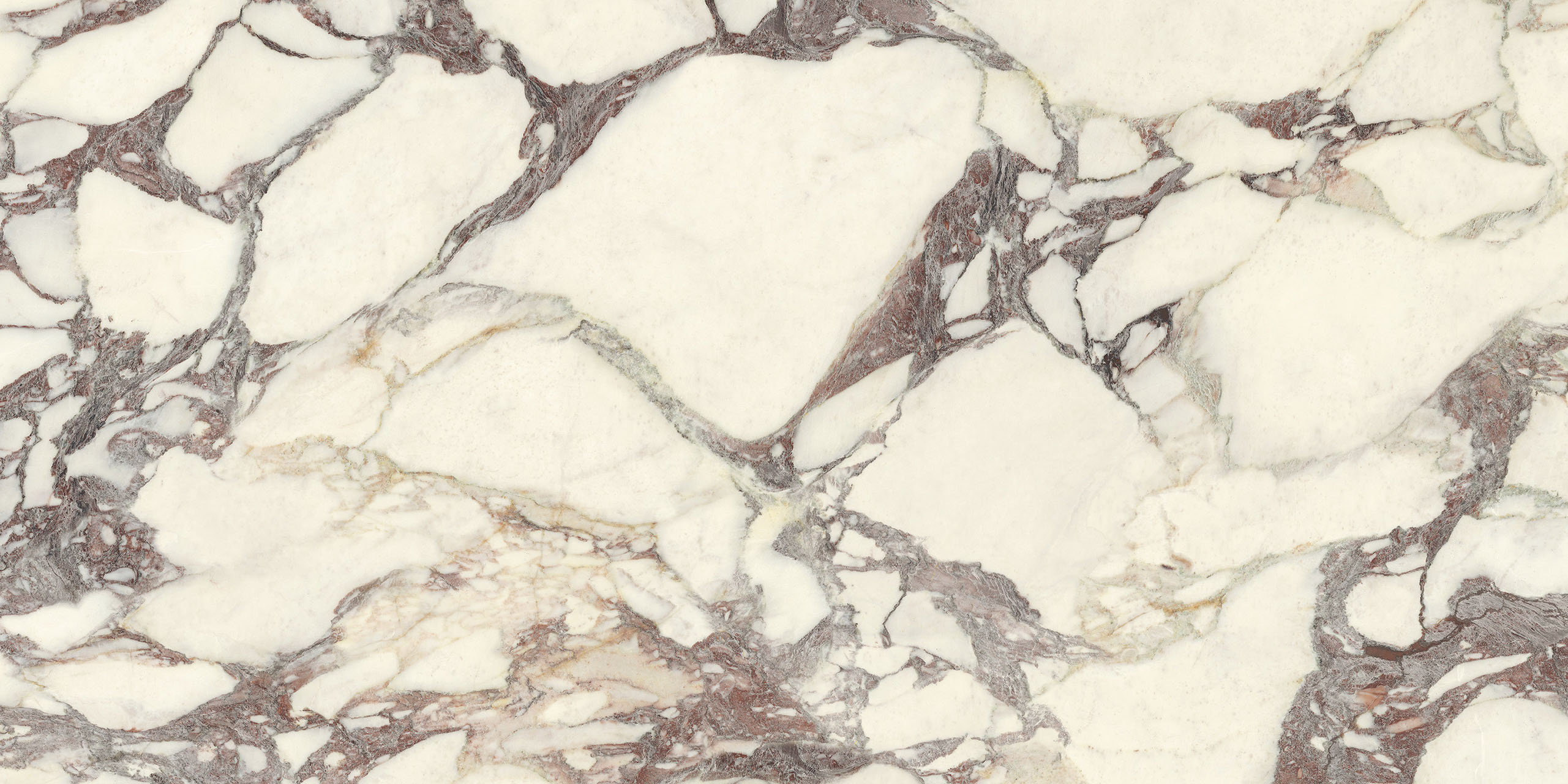 Image sans description