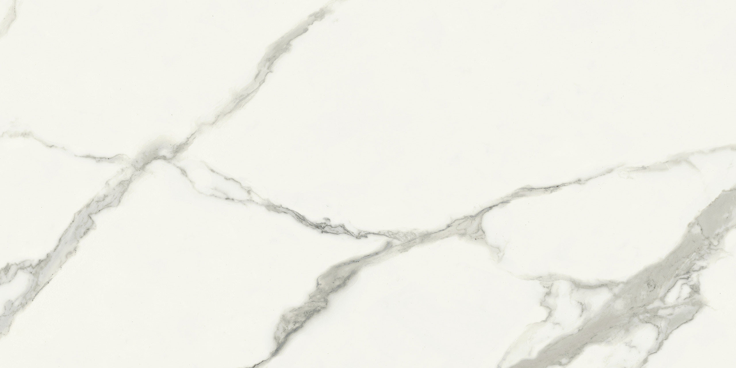 Image sans description