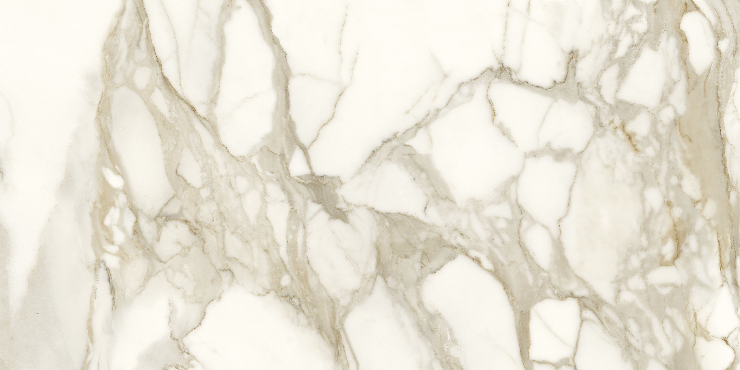 Image sans description