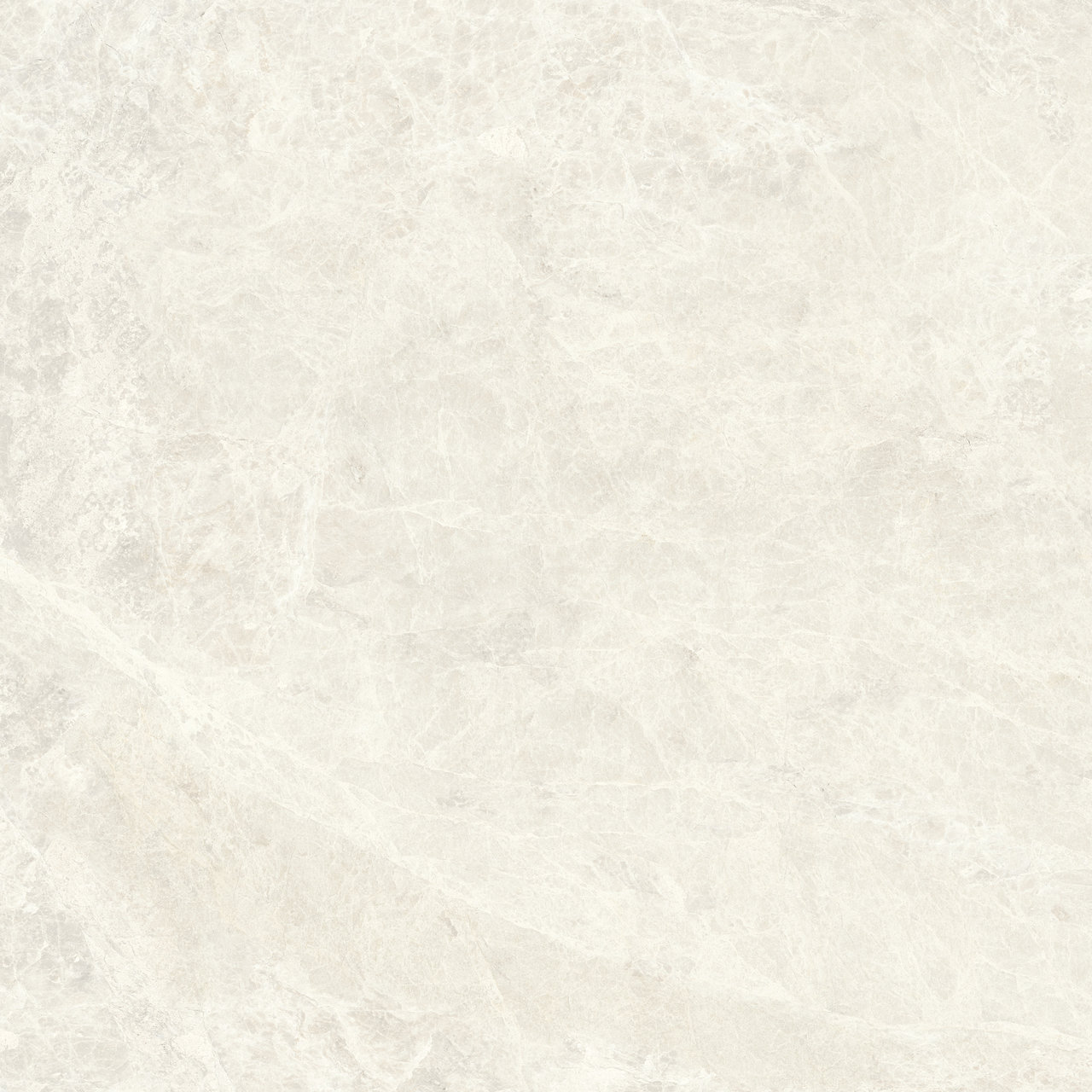 Image sans description