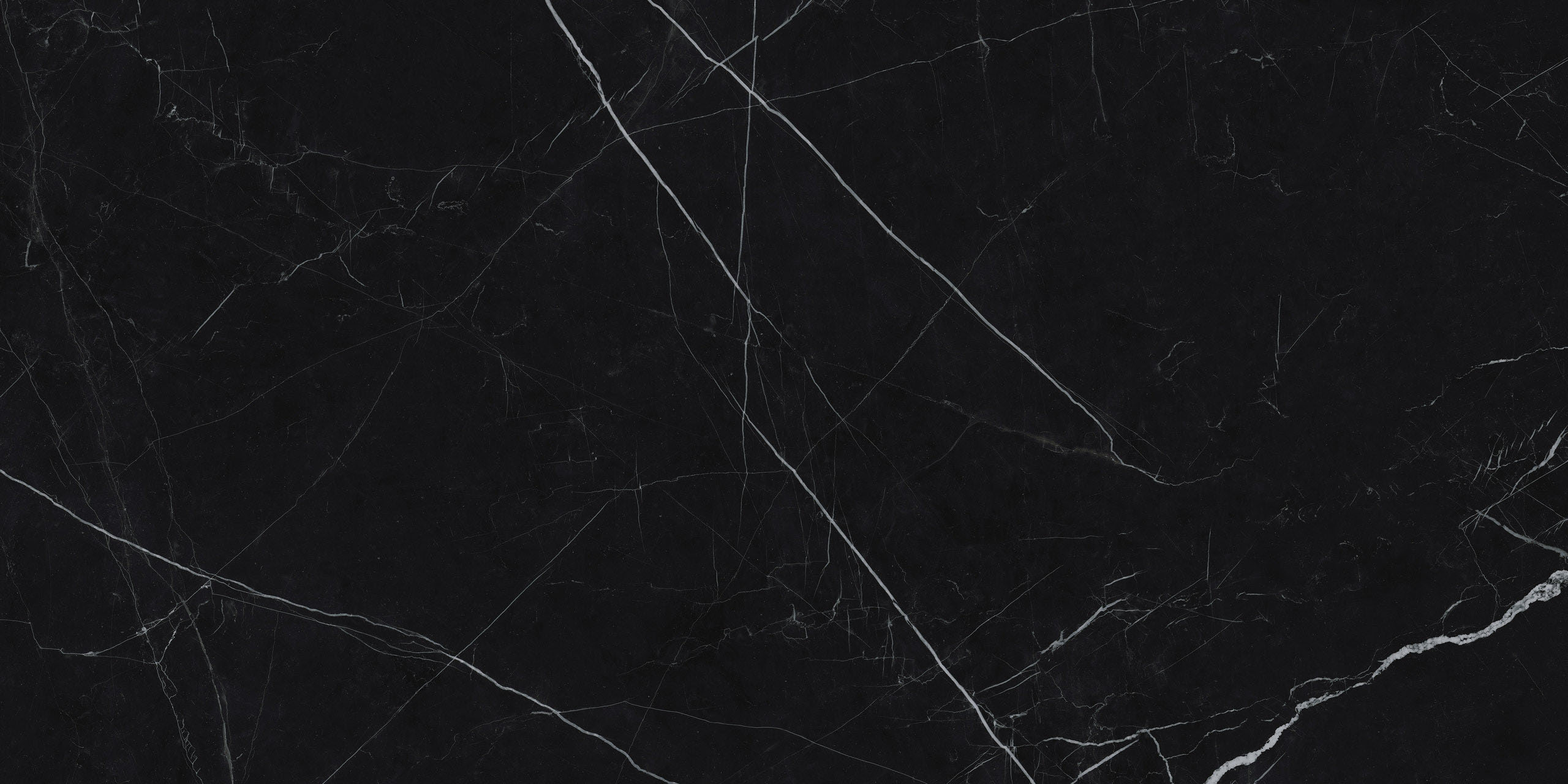 Image sans description