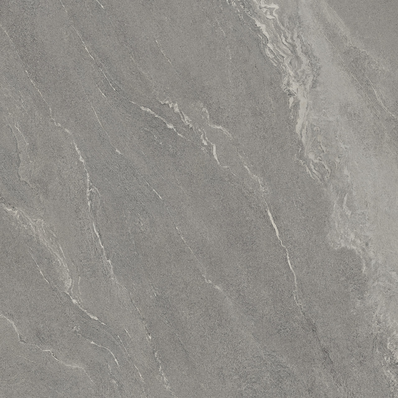 Image sans description