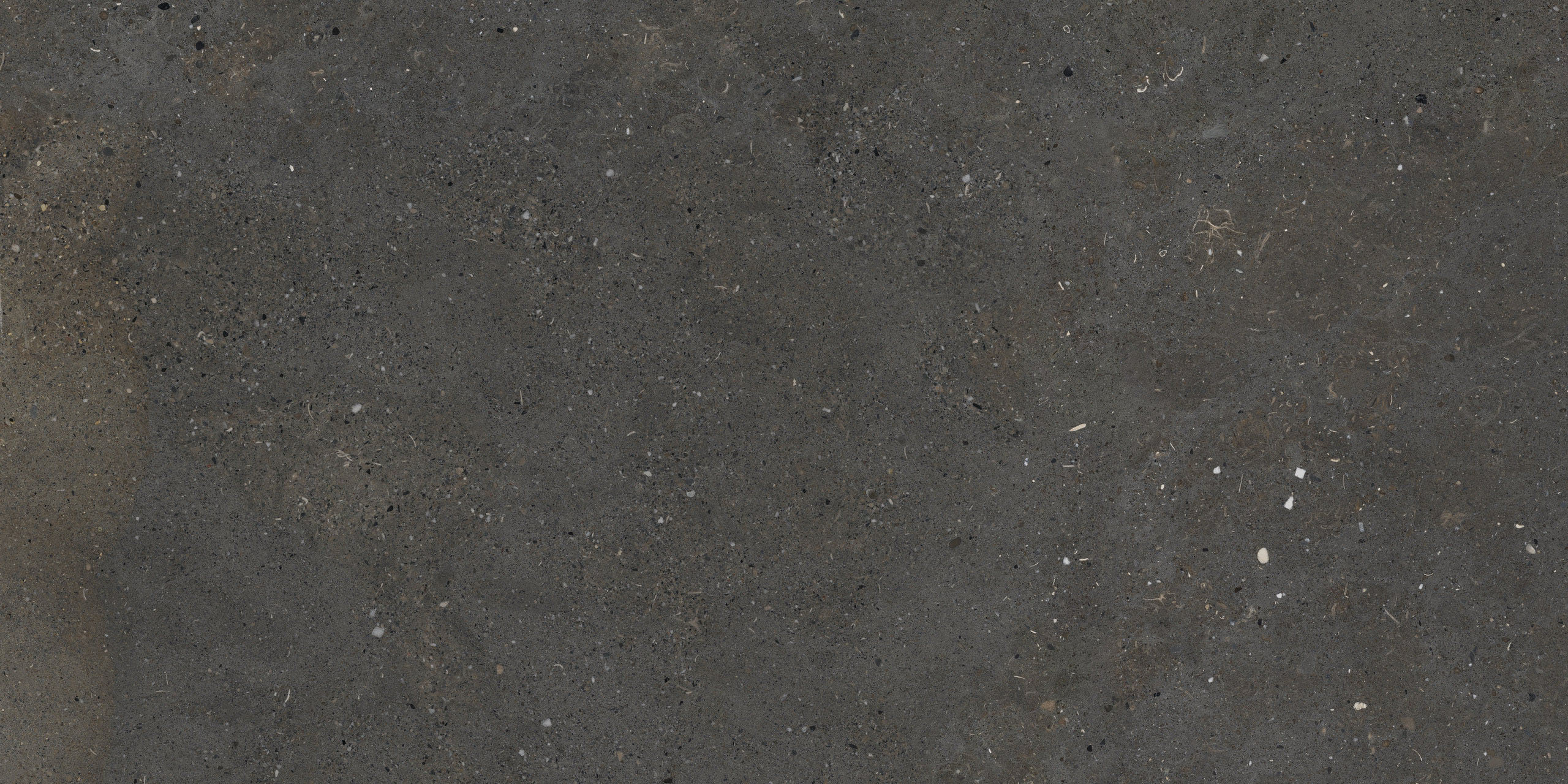 Image sans description