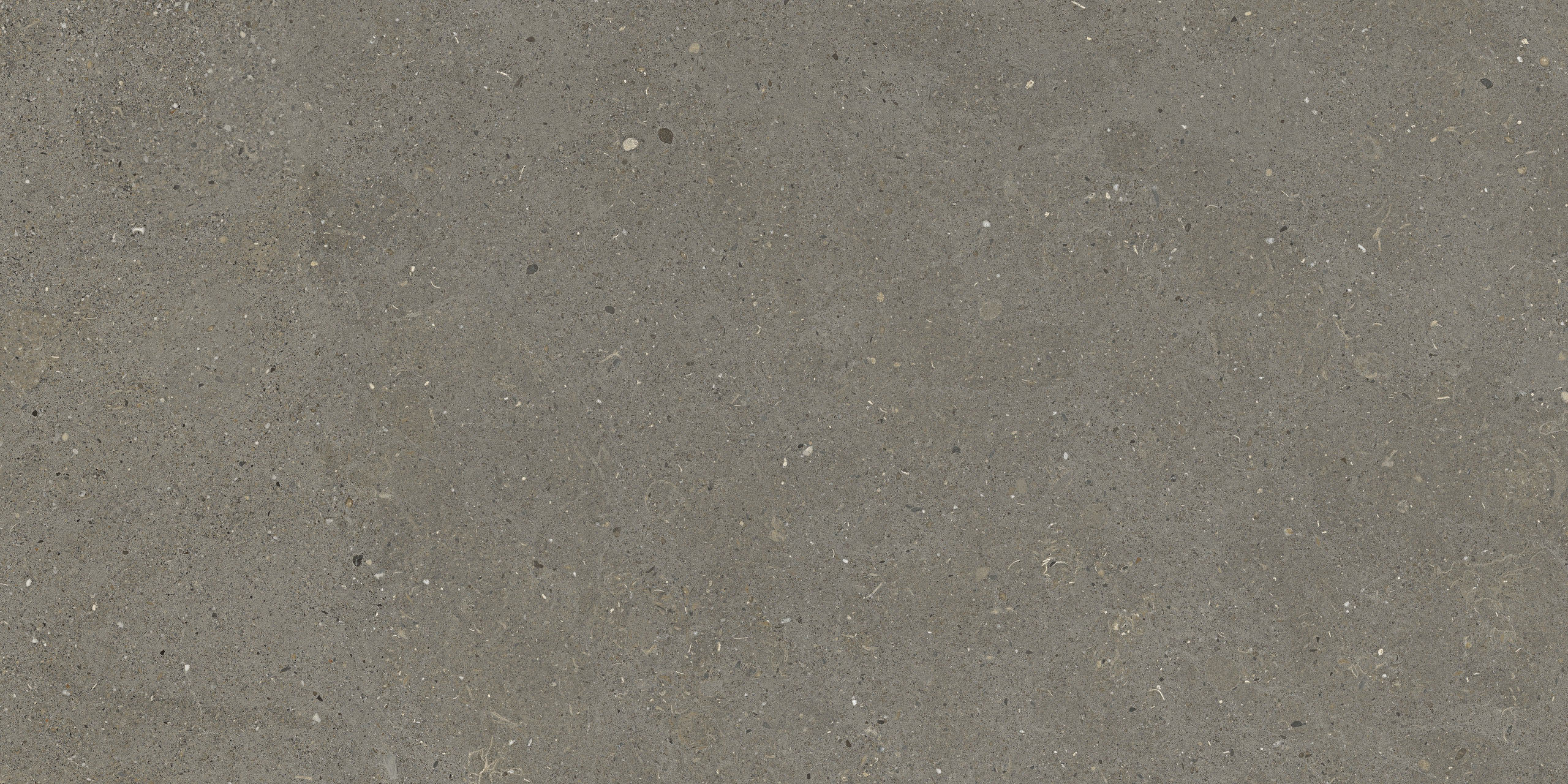 Image sans description