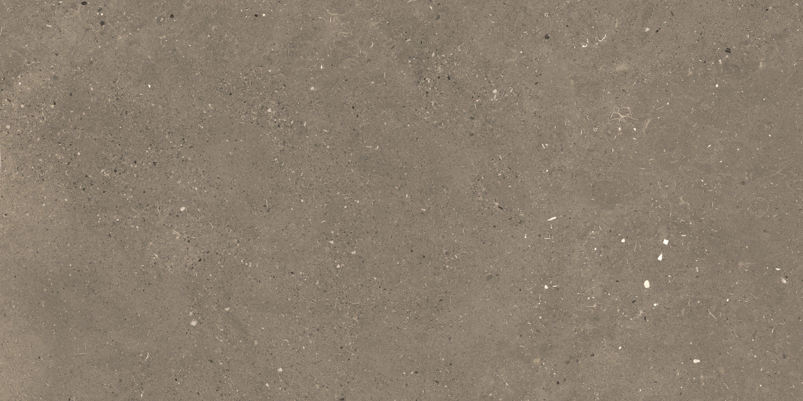 Image sans description