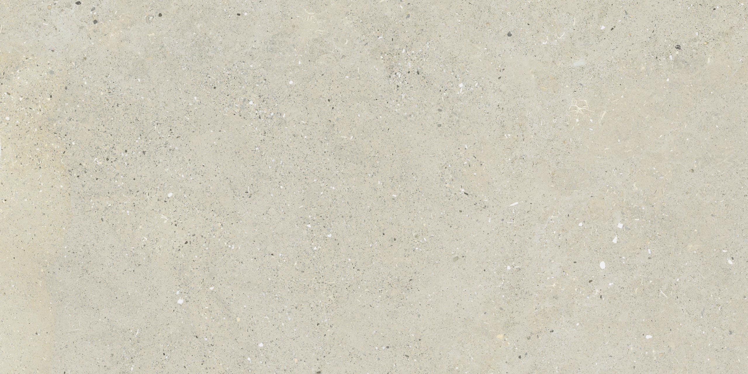 Image sans description