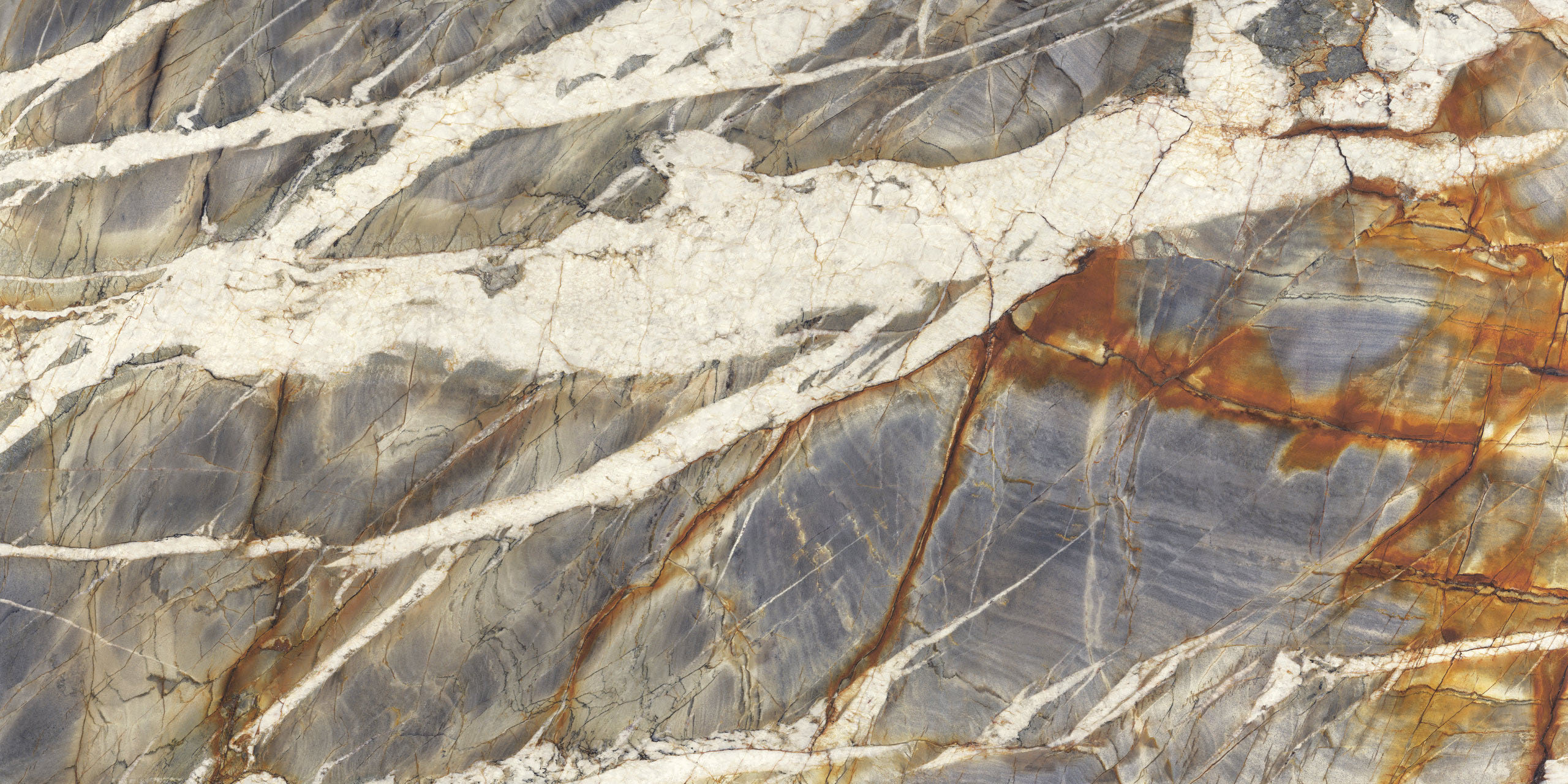 Image sans description