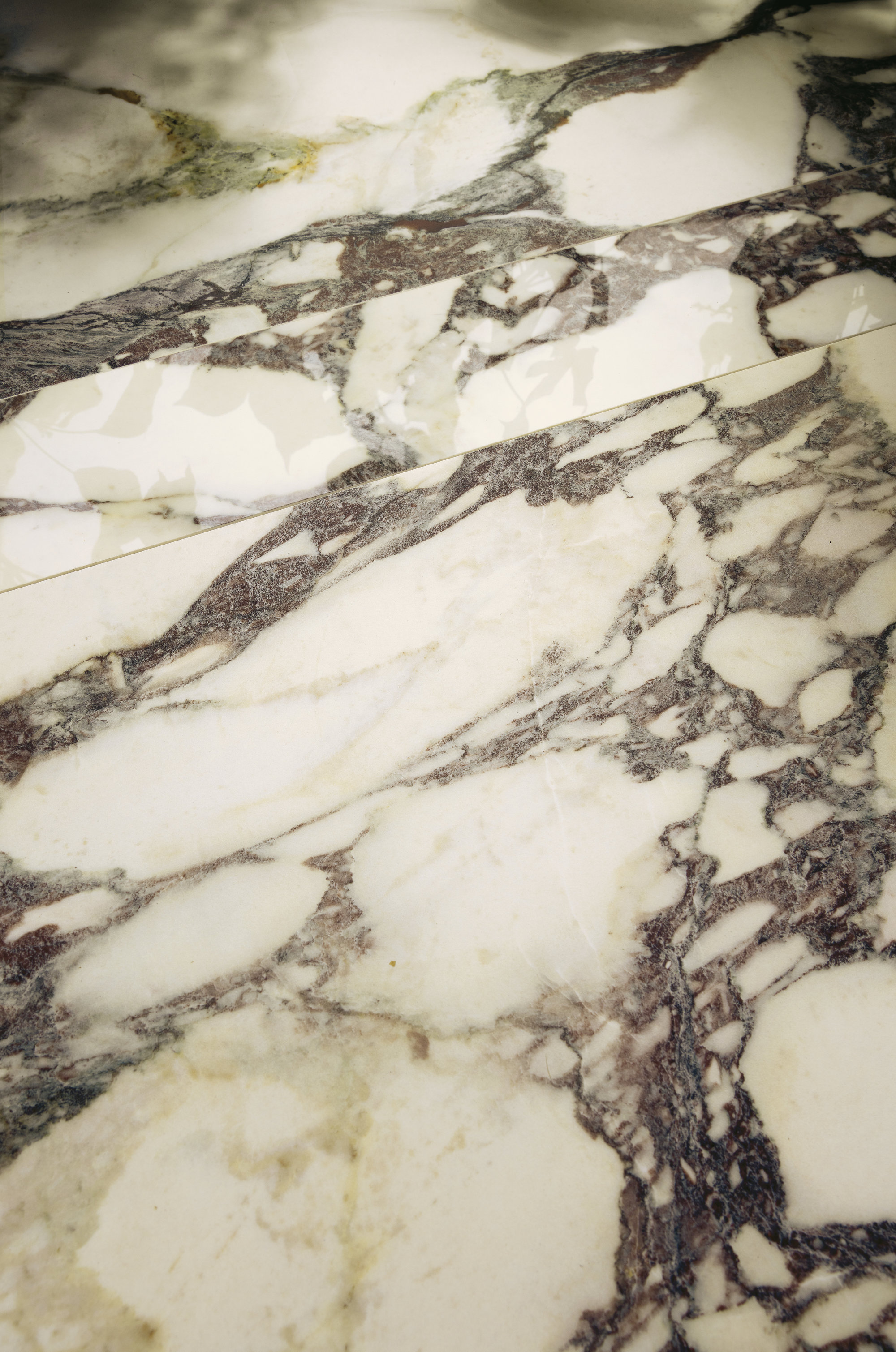 Image sans description