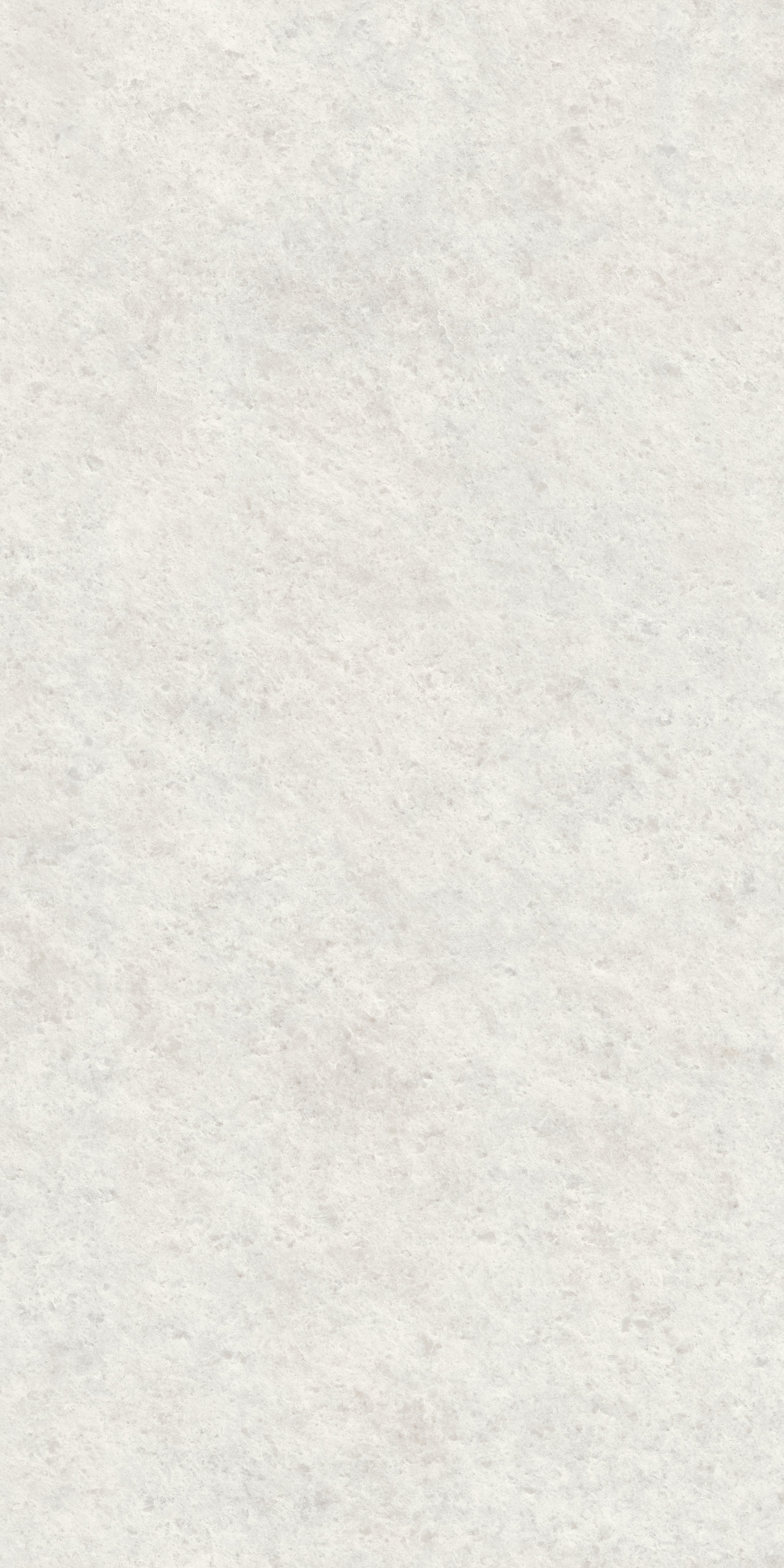 Image sans description