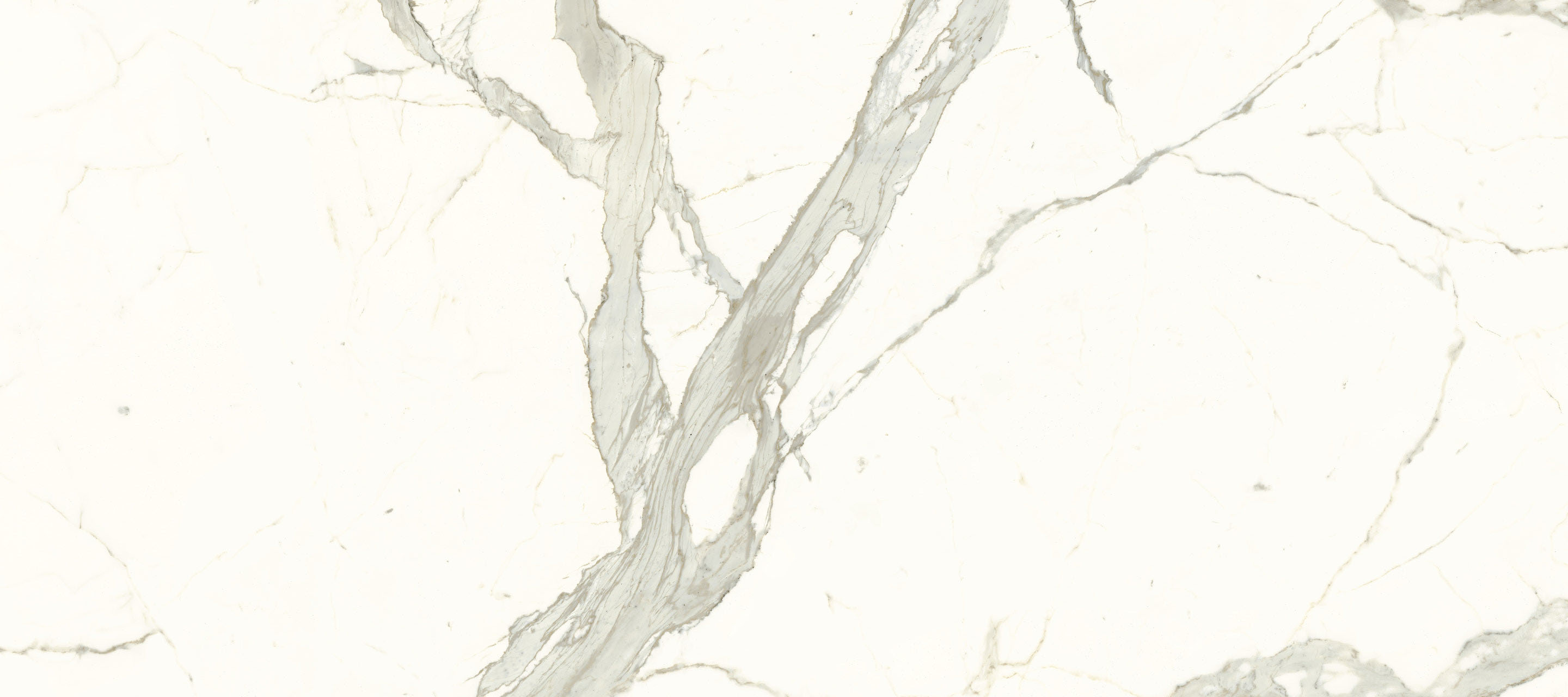 Image sans description