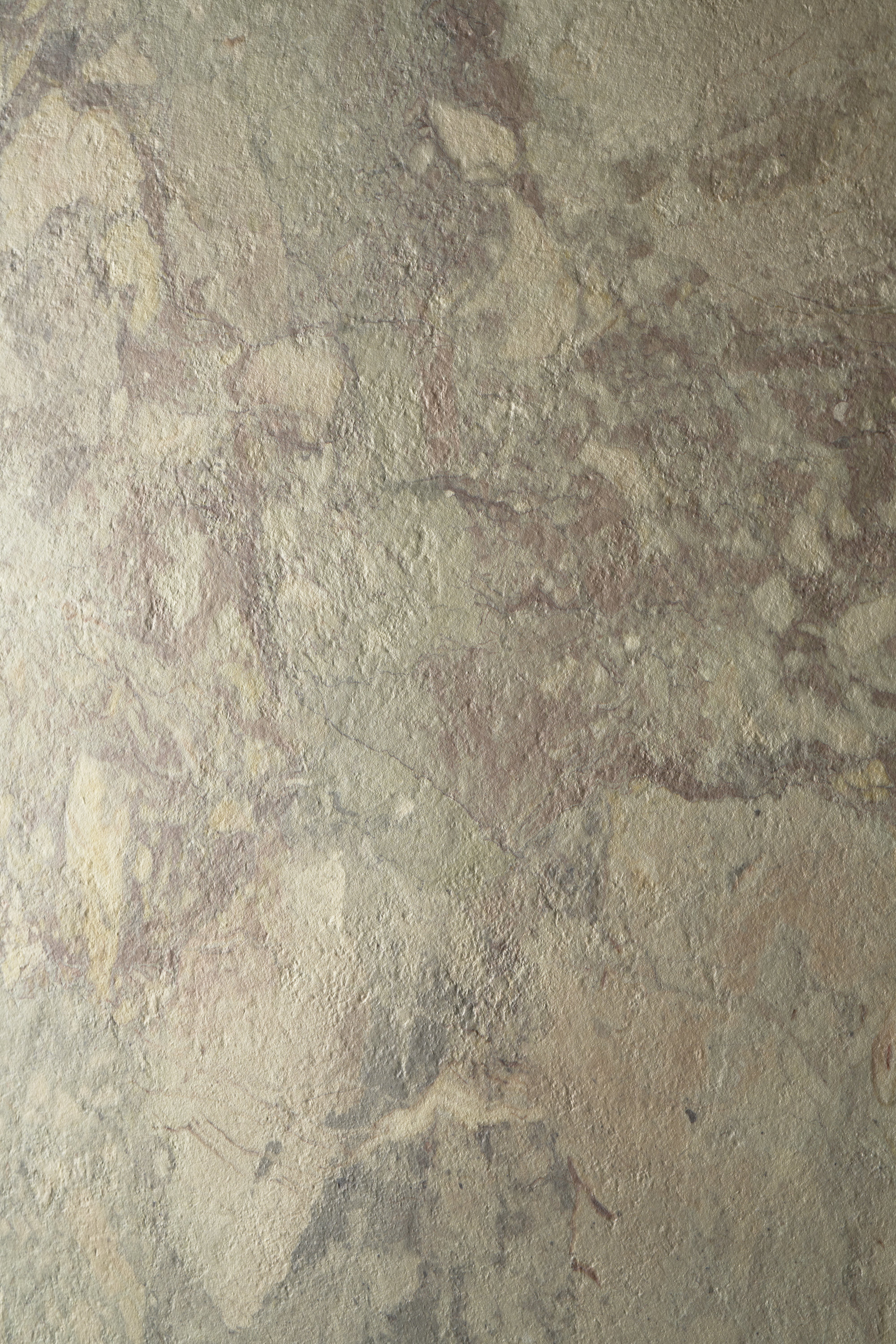 Image sans description